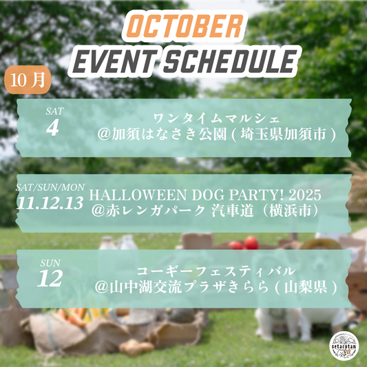 【2025年10月 出店スケジュール】秋のおでかけシーズン、イベントでお会いしましょう🎃🐾