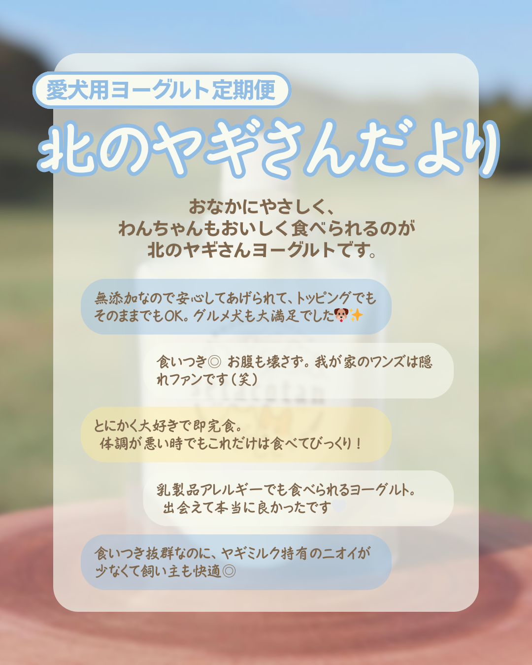 【ヨーグルト定期便】北のヤギさんだより