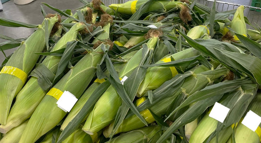 【北海道レポート】北海道の夏の風物詩を調達！