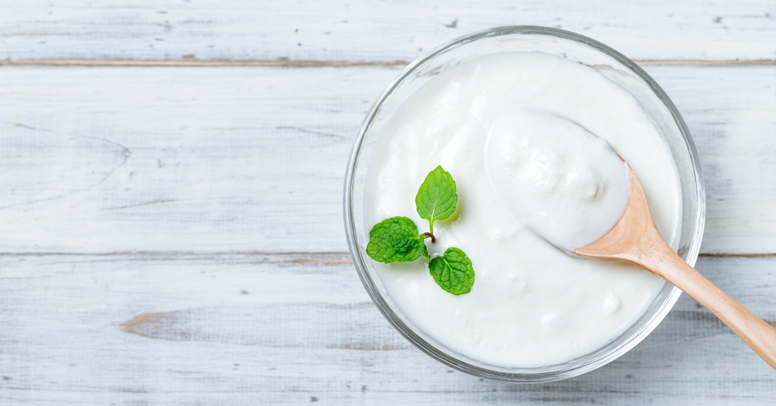 犬にヨーグルトをあげても良い？腸活にうれしい理由と与え方を解説