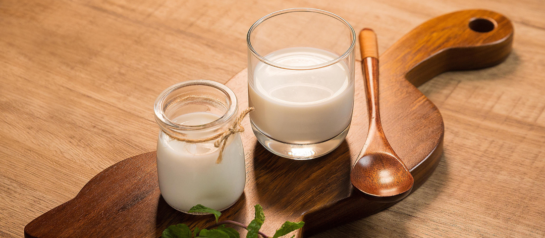 犬にヤギミルクはなぜやさしい？牛乳との違い（消化性・成分）や注意点をわかりやすく解説