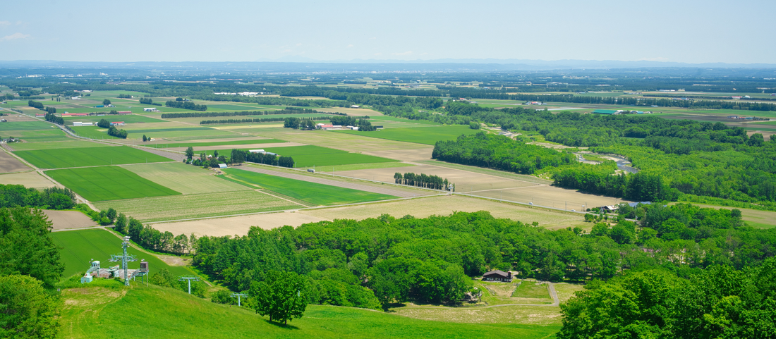 setacotan｜原材料のこだわり