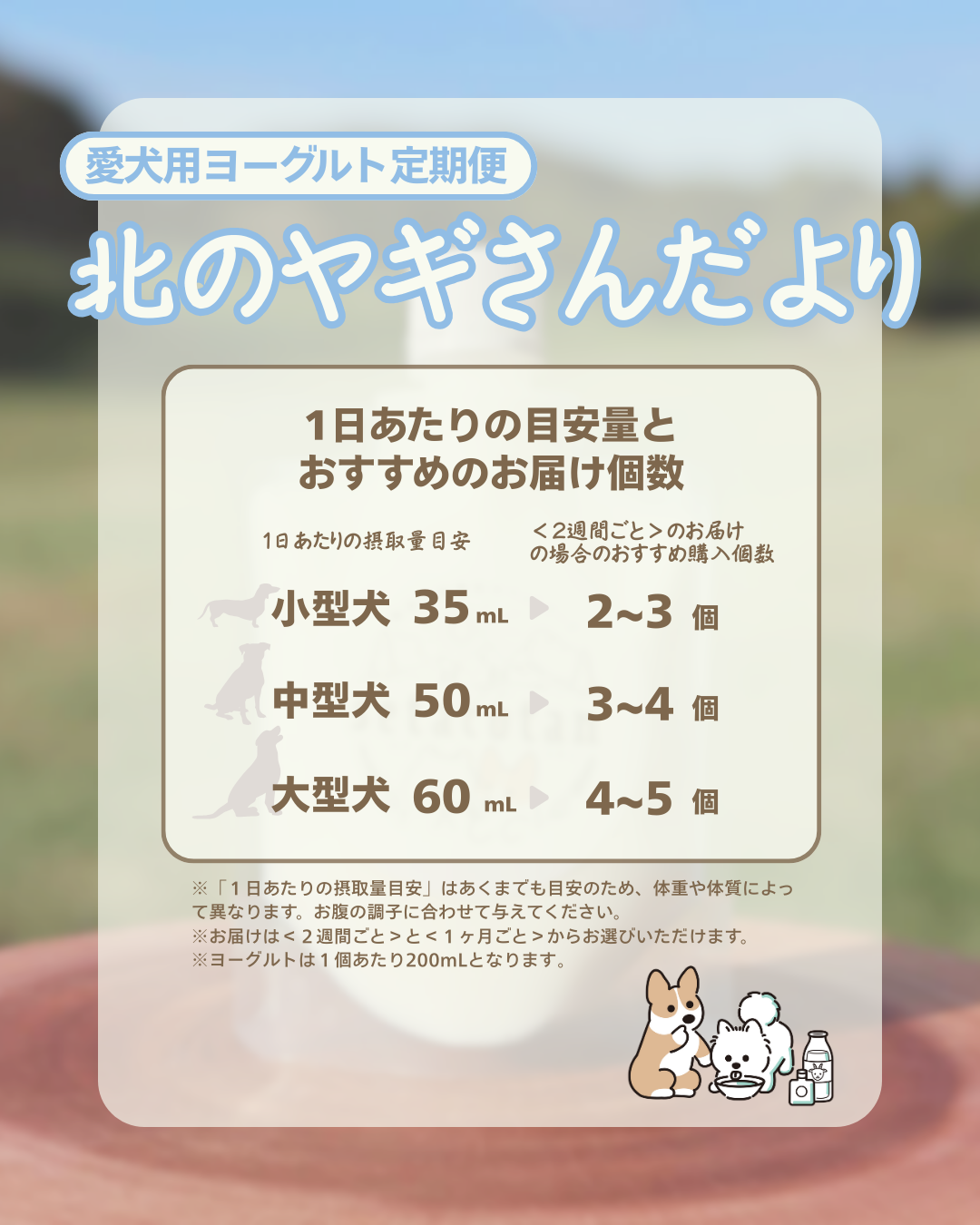 【ヨーグルト定期便】北のヤギさんだより