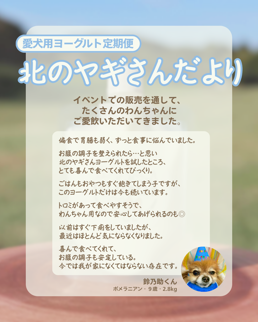 【ヨーグルト定期便】北のヤギさんだより